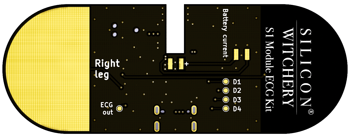 Back side IO connections of the S1 ECG Kit