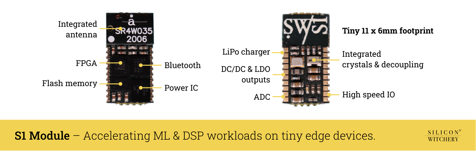 Silicon Witchery S1 Module